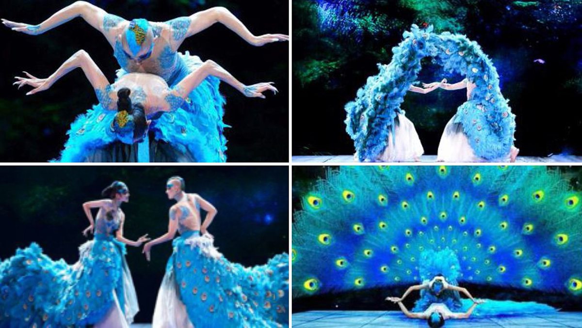 ��ȸ֮�١��赸��(ji��)Ŀ