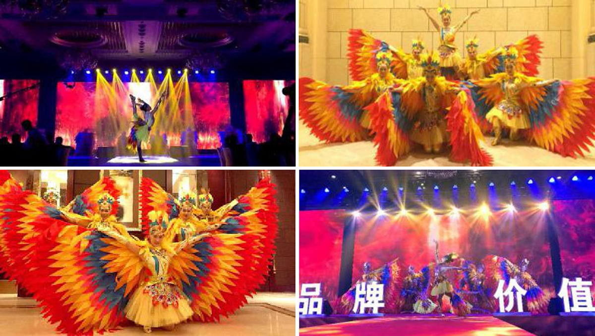 《百鳥朝鳳》《百鳳朝陽》演藝節(jié)目-4