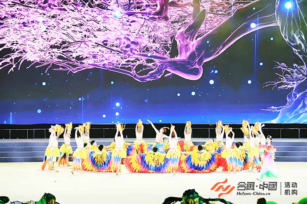 《百鳥朝鳳》《百鳳朝陽》演藝節(jié)目-5