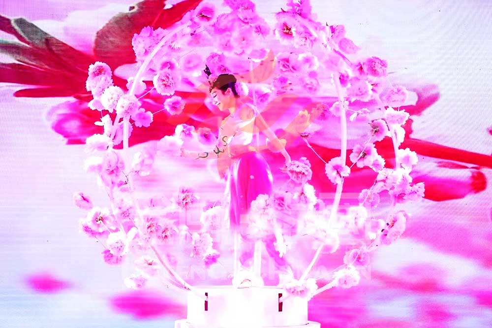 歌舞演藝節(jié)目《綻放》