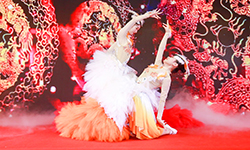 ��ӹ�(ji��)Ŀ���ݡ�ʢ�����ˡ�