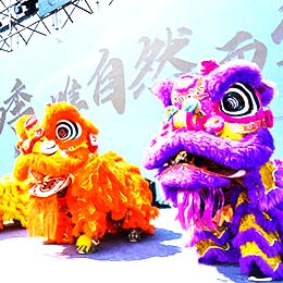 ��{�(du��)���Ѫ{�(du��)����{�F(tu��n)���Ѫ{�F(tu��n)���{���(du��)���{�ӈF(tu��n)�����{�(du��)�����{�F(tu��n)