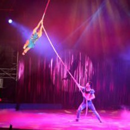 �V��ħ�g(sh��)��ˇ��(j��ng)�o(j��)��˾,�V���s����ˇ��(j��ng)�o(j��)��˾