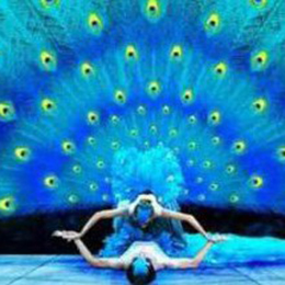 ȸ֮�����赸��(ji��)Ŀ���赸�ݳ���(j��ng)�o(j��)���赸��ˇ��(j��ng)�o(j��)��ȸ֮���赸��(j��ng)�o(j��)