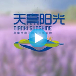 �V�ݳ�������Ƭ������˾,�V�ݳ�����������Ƭ������˾,�V�ݳ�����������Ƭ�Ĕz������˾